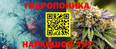 дмт Краснознаменск