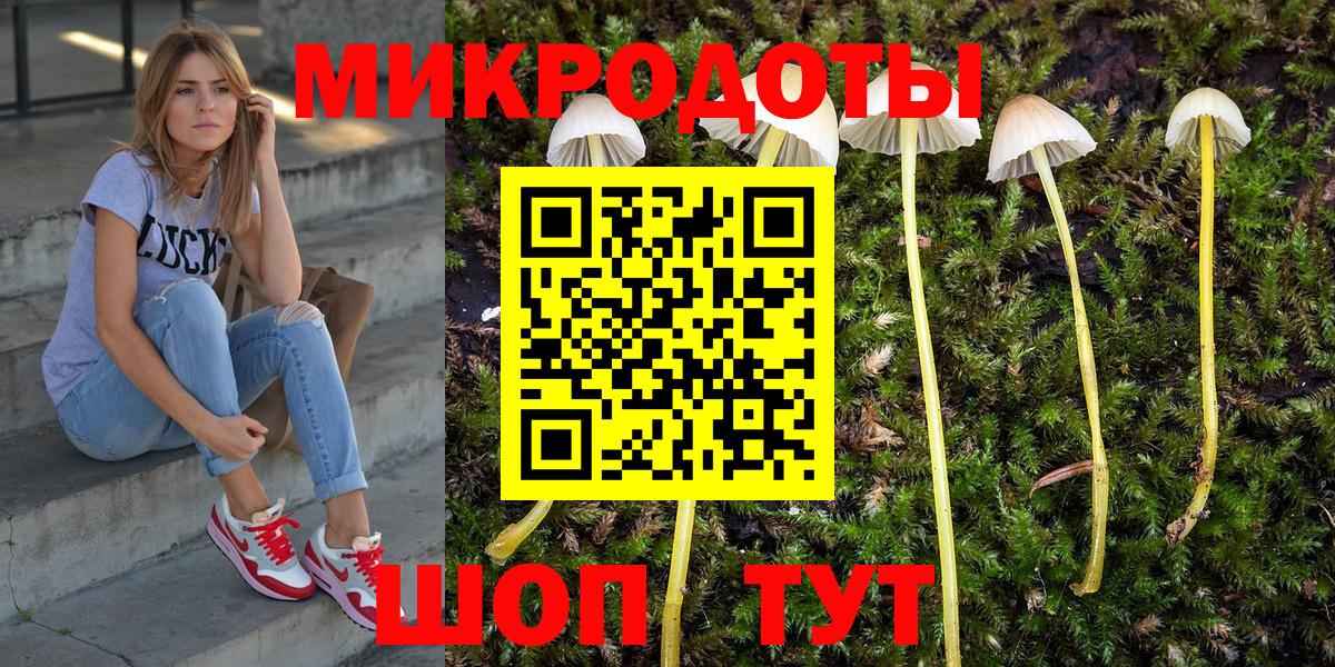 Псилоцибиновые грибы прущие грибы Чайковский
